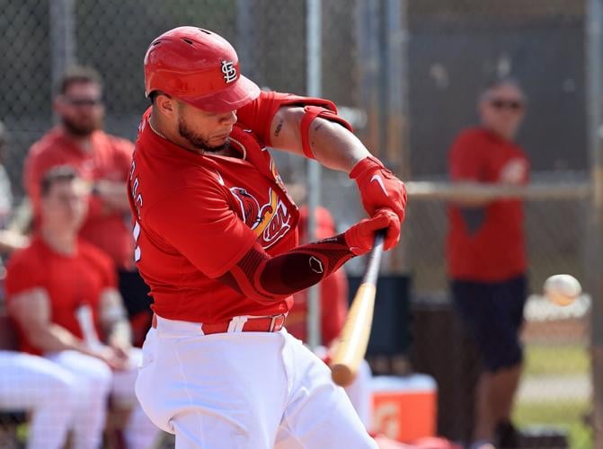 Cardinals: MLB fans were in awe of Nolan Arenado's beautiful catch