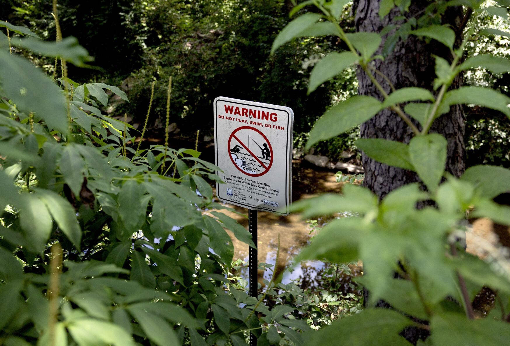 MSD working in Ladue to remove wastewater by pass