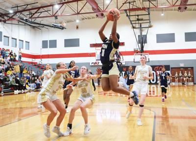 PRIN_18_PB.JPGSTL1050166788