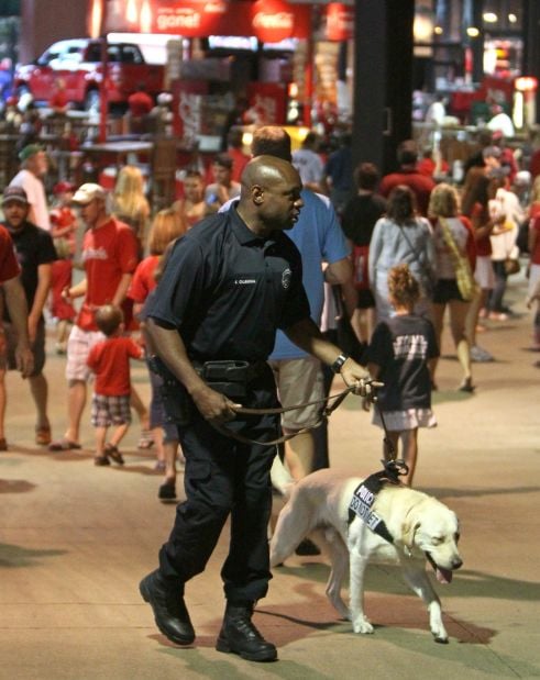 The Cardinals want the St. Louis PD to stop using their mascot in  #PoliceLivesMatter photos - The Daily Dot