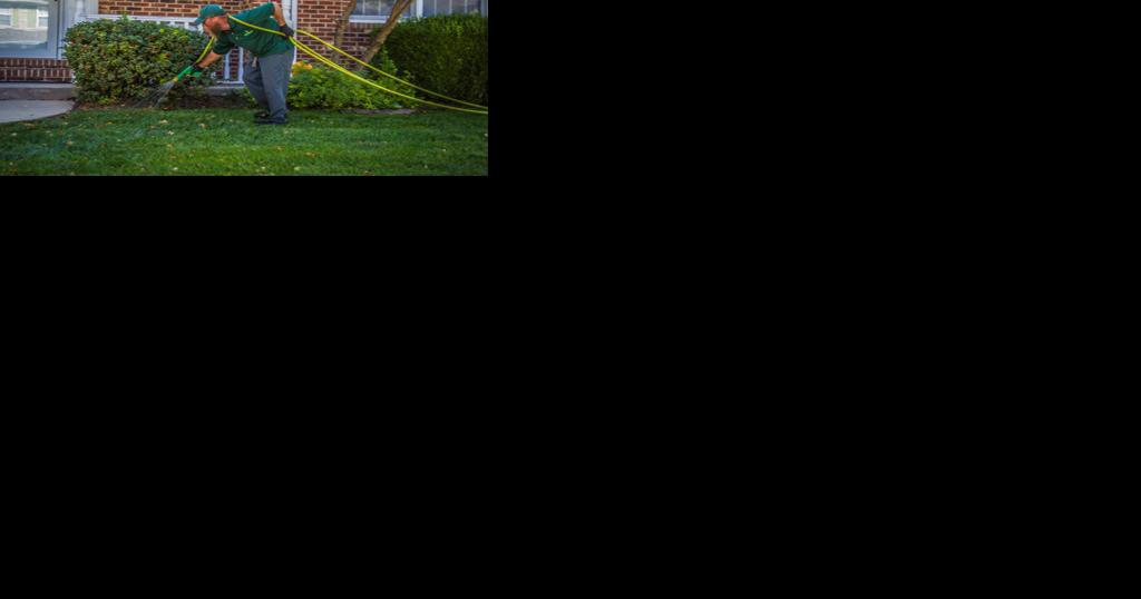 Now is the time to schedule seeding and aeration services, critical to your lawn - Vimarsana News
