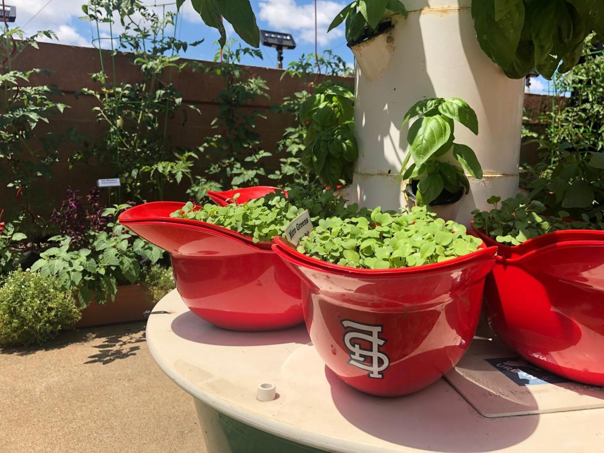 Garden at Busch Stadium
