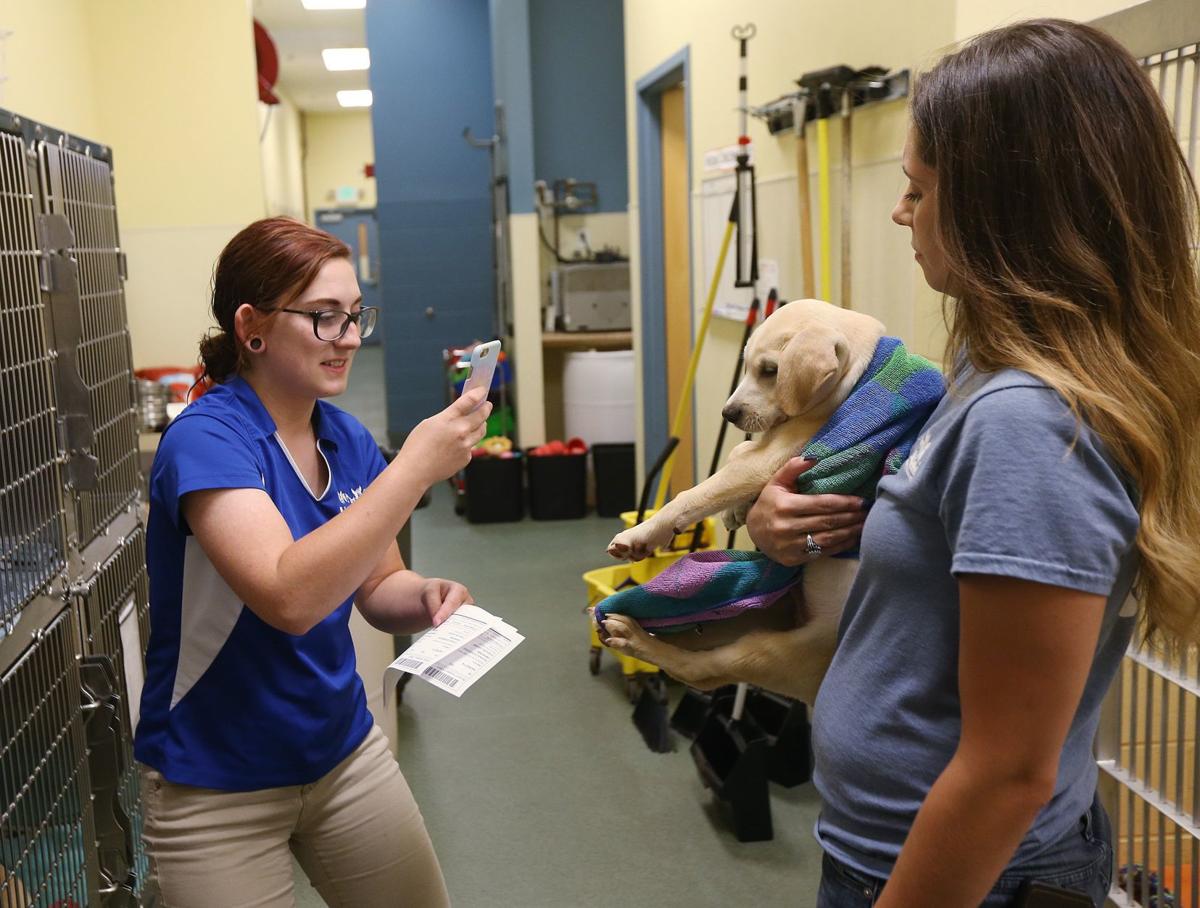 Pawsome news for dog lovers Humane Society bringing more pooches to St