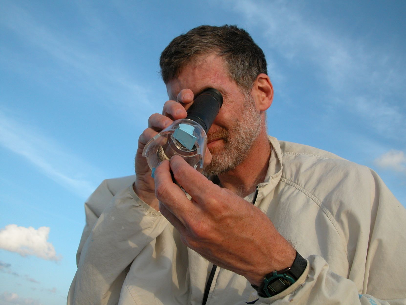 Learning From Lizards: St. Louis Native Studies Evolution In Real Time ...