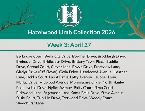 2026 Limb Collection - Week 3