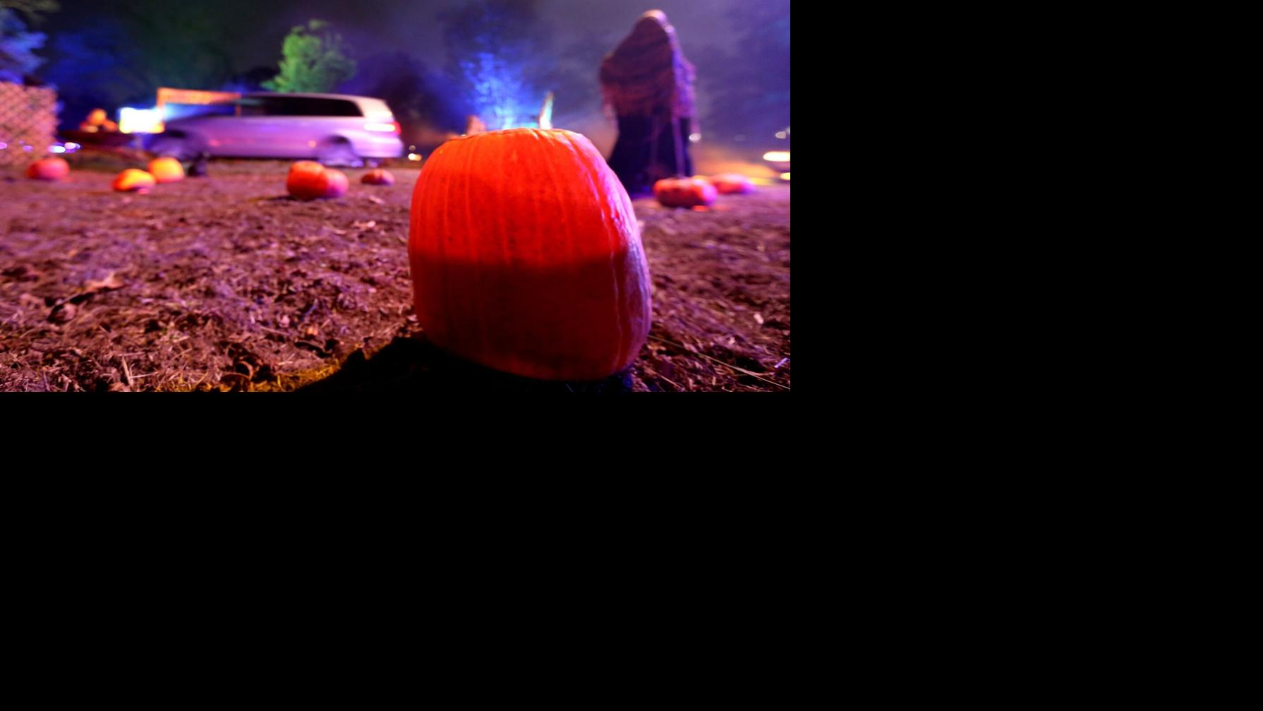 Photos: Scenes from the Grant&#39;s Farm Halloween Drive-Thru Experience | Entertainment | www.speedy25.com