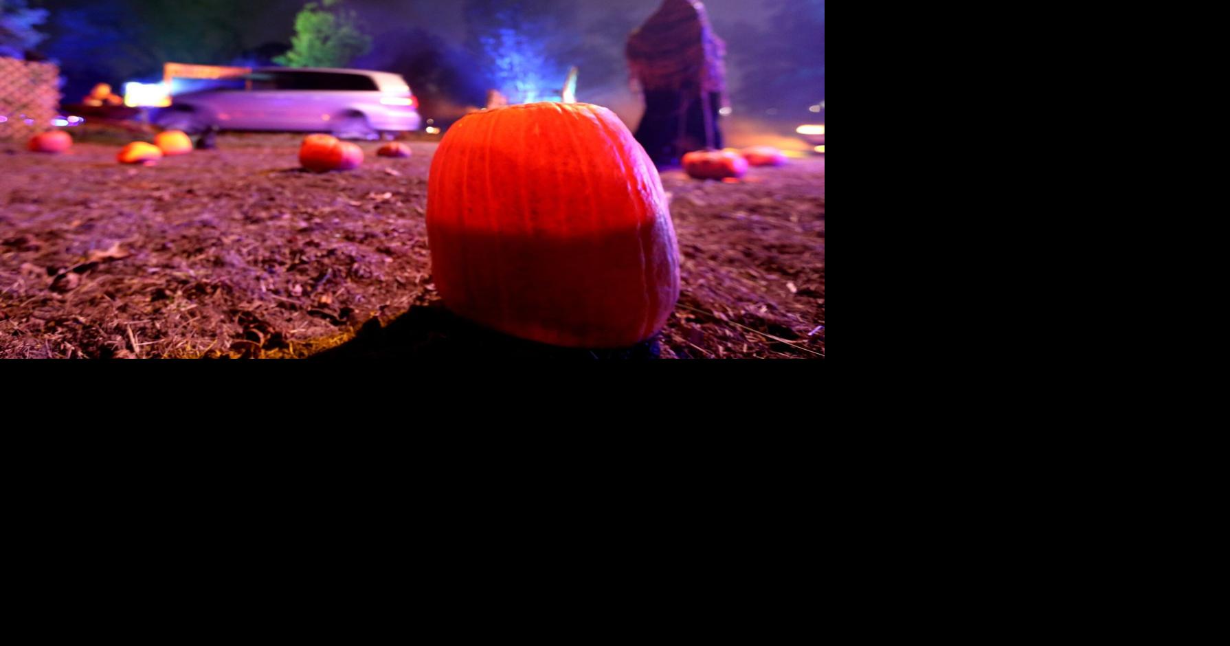 Photos Scenes from the Grant's Farm Halloween DriveThru Experience