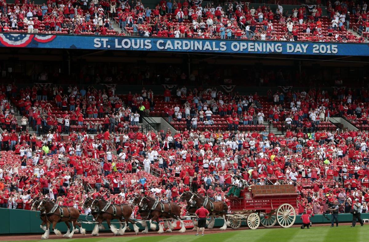 Cardinals lose to Brewers 5-4 in home opener | News | 0
