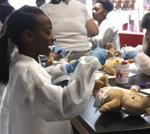 Little Medical School