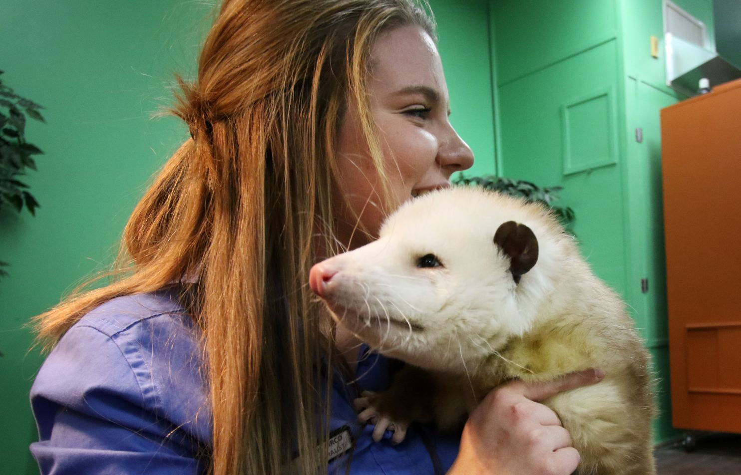 baby possum costume