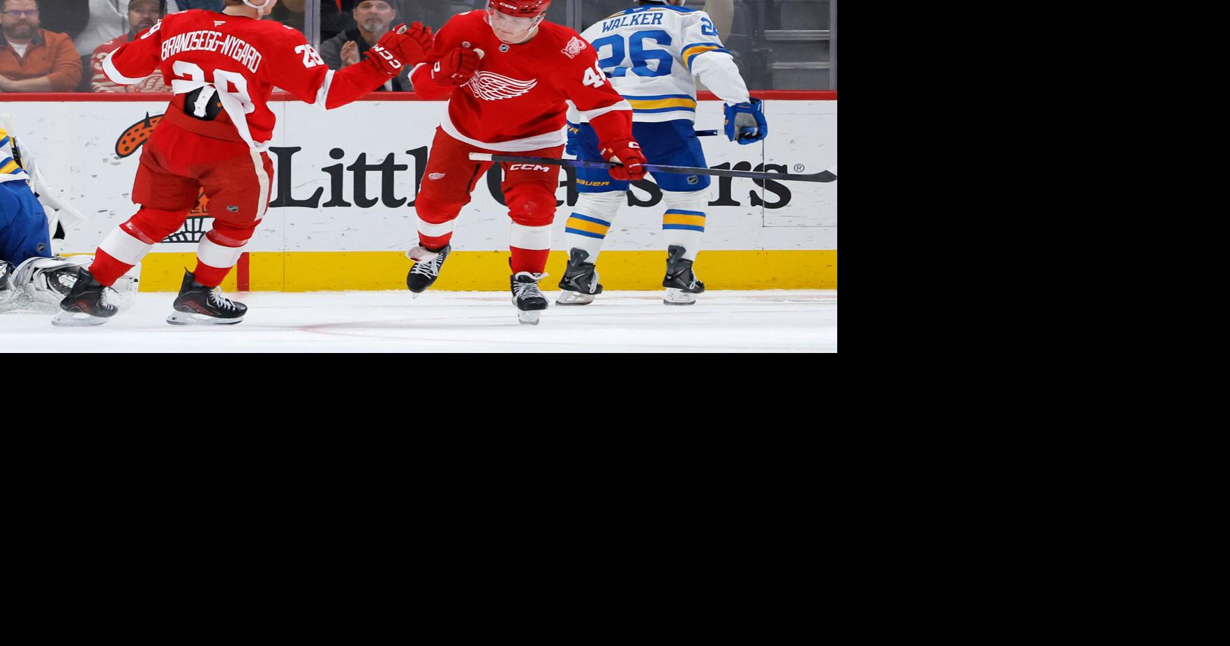 The Red Wings roared back to win after the Blues built a 4-0 lead following just 23 minutes of game action.