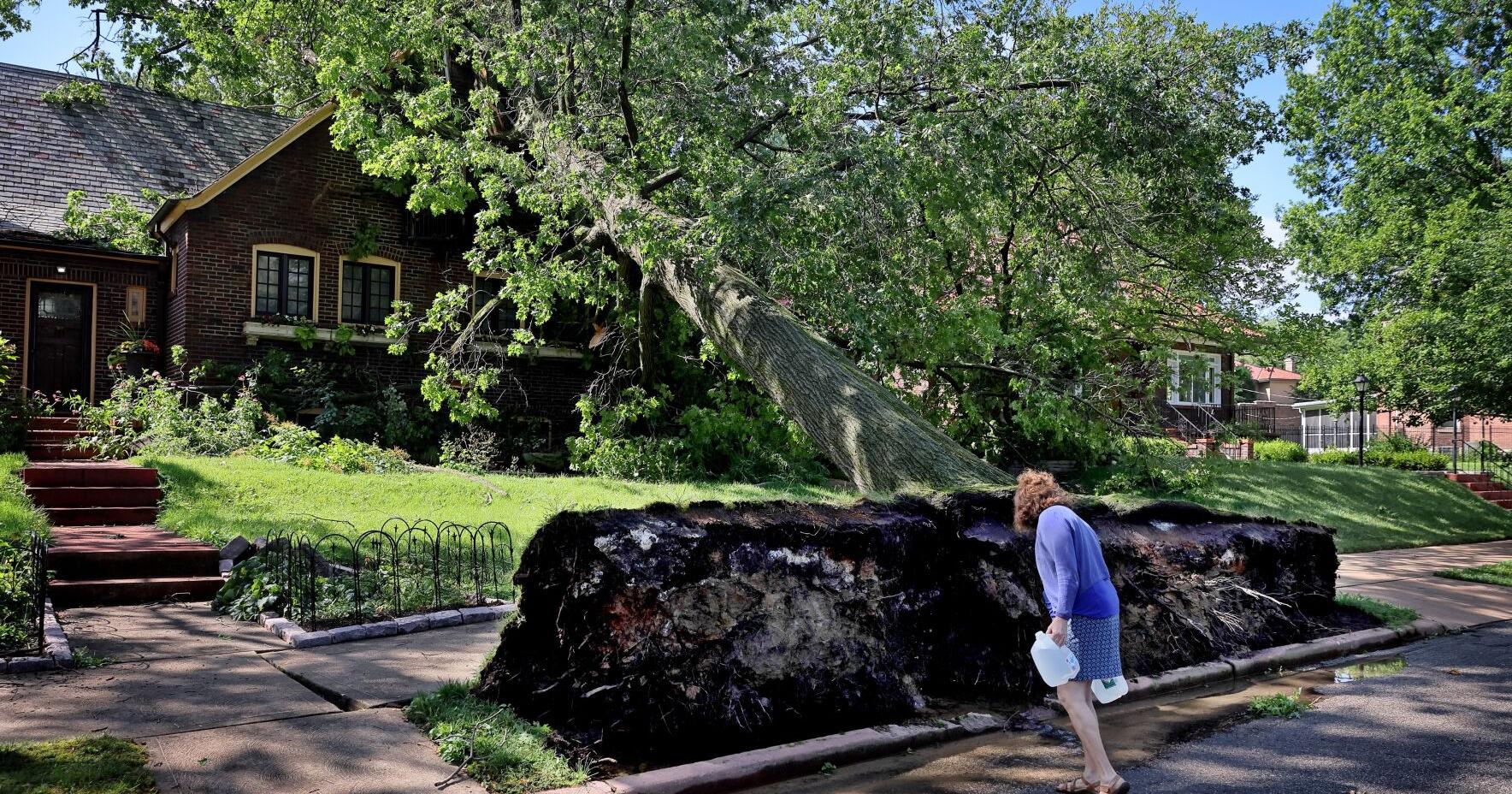 Fierce storms in St. Louis area leave one dead, tens of thousands without power - Vimarsana News