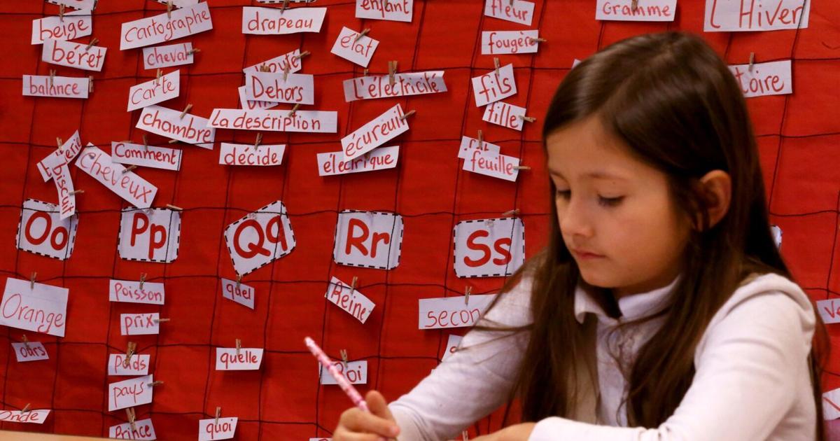 St. Louis Language Immersion, Soulard charter schools receive five-year ...