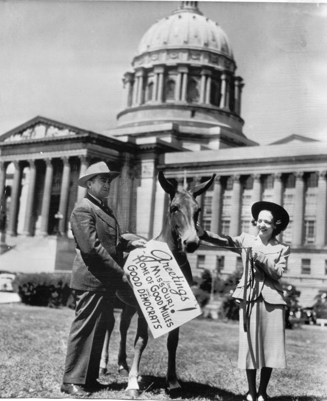 The History of the Missouri mule
