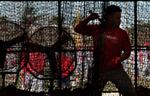 Cardinals spring training on Feb. 20