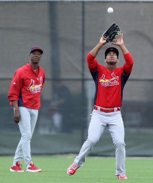 Cardinals spring training