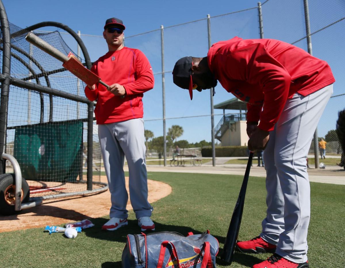 Cardinals spring training