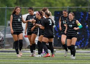 Class 4 District 3 girls soccer, quarterfinal: Fort Zumwalt West at Fort Zumwalt North