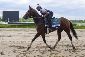 HORSERACING/