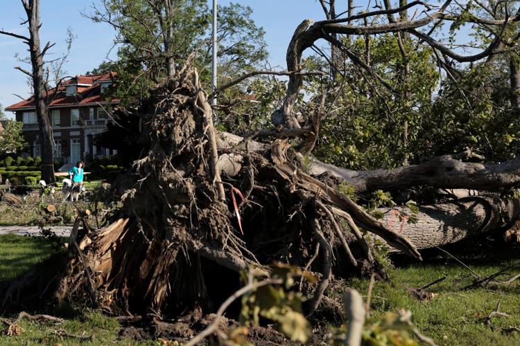 Forest Park changed forever