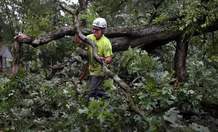 Trees down across the region following overnight storms
