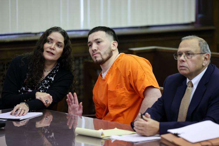 St. Peters man pleads guilty in death of 51 police officer David Lee