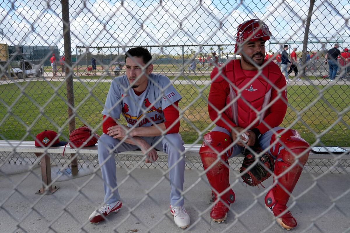 Cardinals Spring Baseball