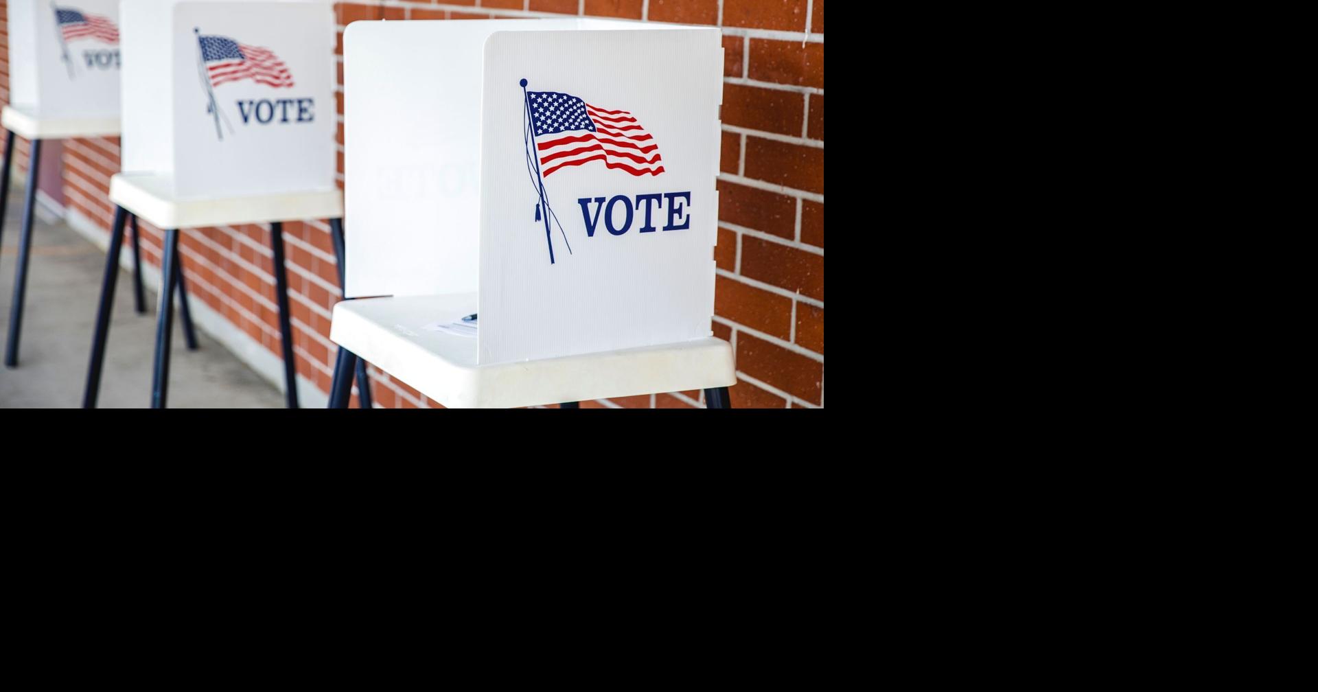 Image for Another Democrat files to unseat U.S. Rep. Ann Wagner