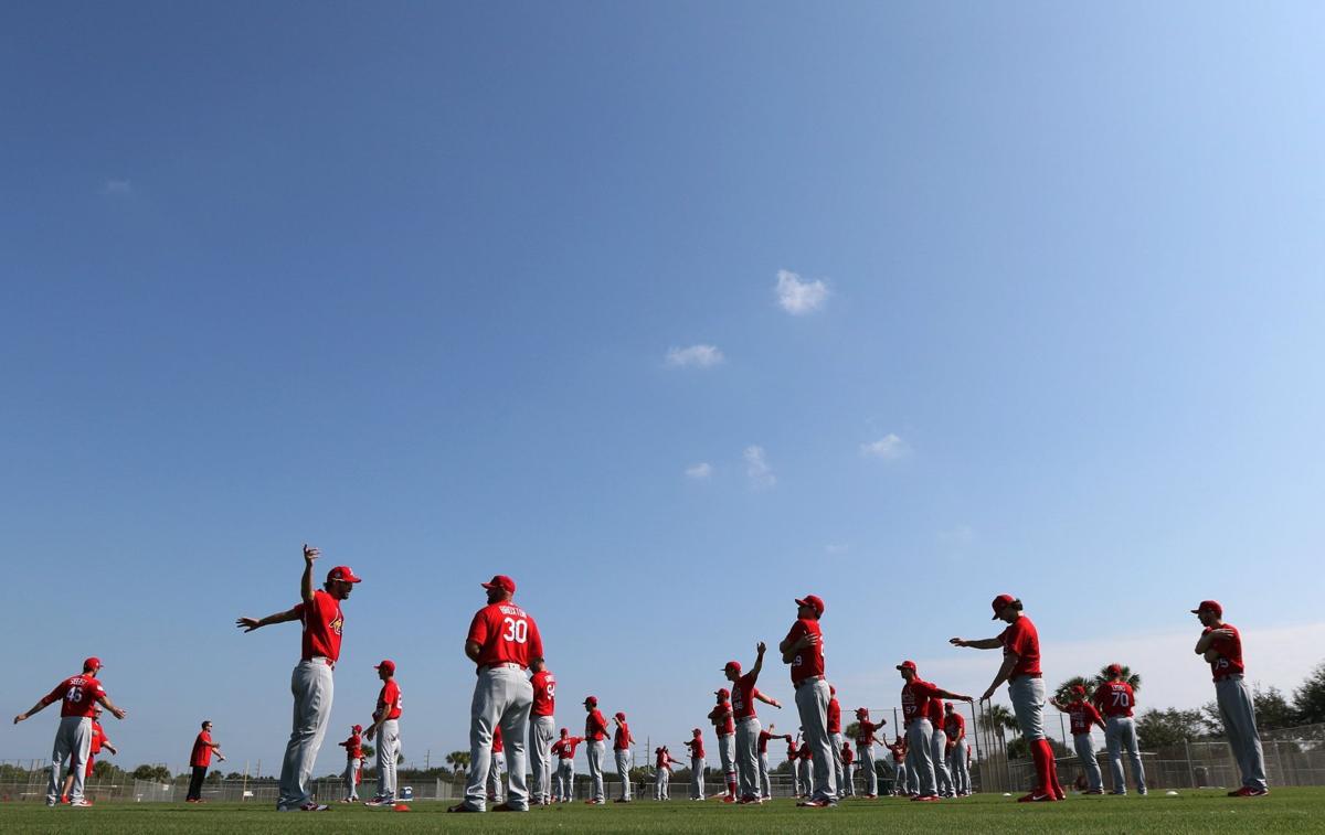 St. Louis Cardinals spring training
