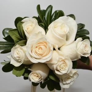 008_Walter Knoll Florist