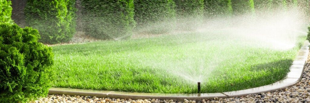 Split Irrigation Restarts on June 1