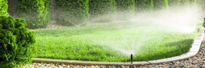 Split Irrigation Restarts on June 1