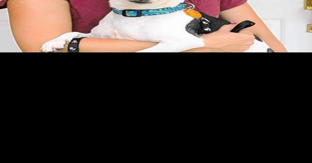 13 QUESTIONS Humane Society President Paula Hutchinson