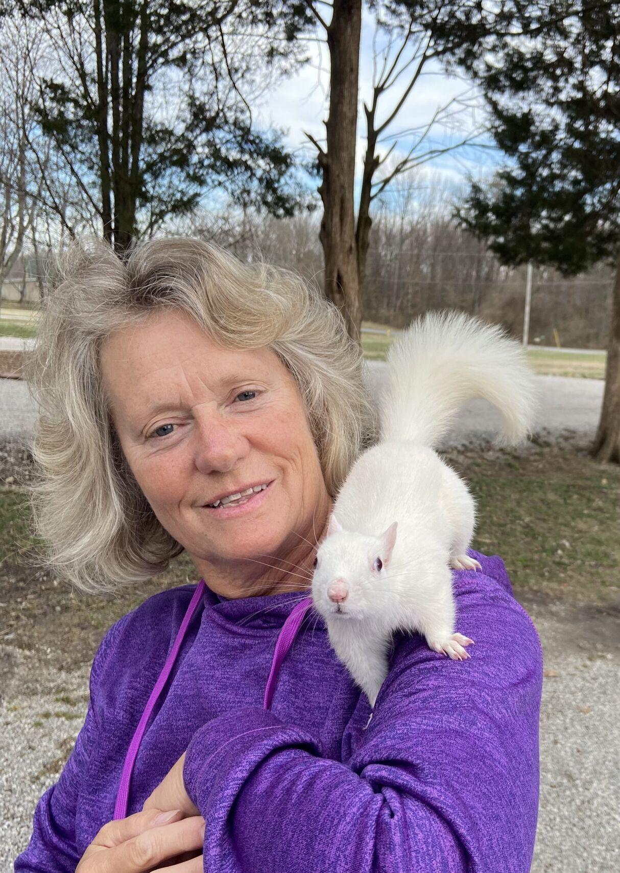 Squirrel tales Tourists come to Illinois, Iowa towns to see rare