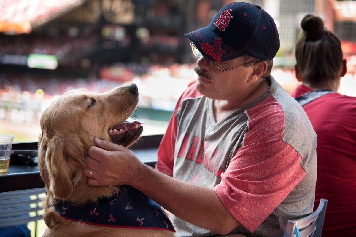 Purina Pooches in the Ballpark returns