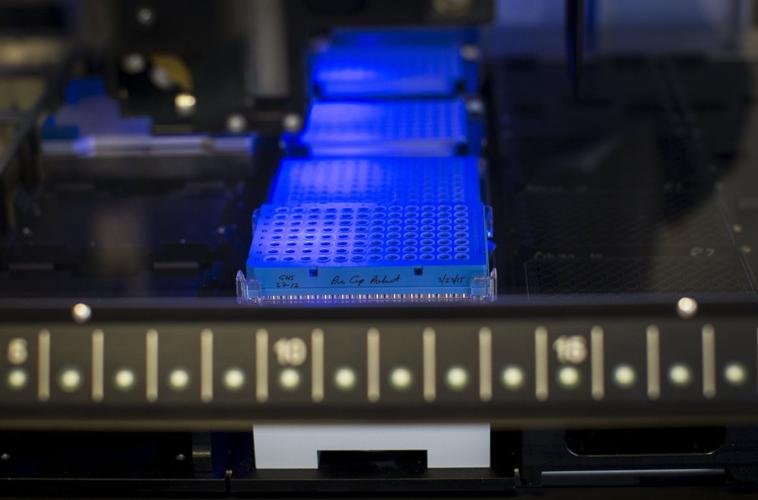 How DNA sequencing is transforming the hunt for new drugs