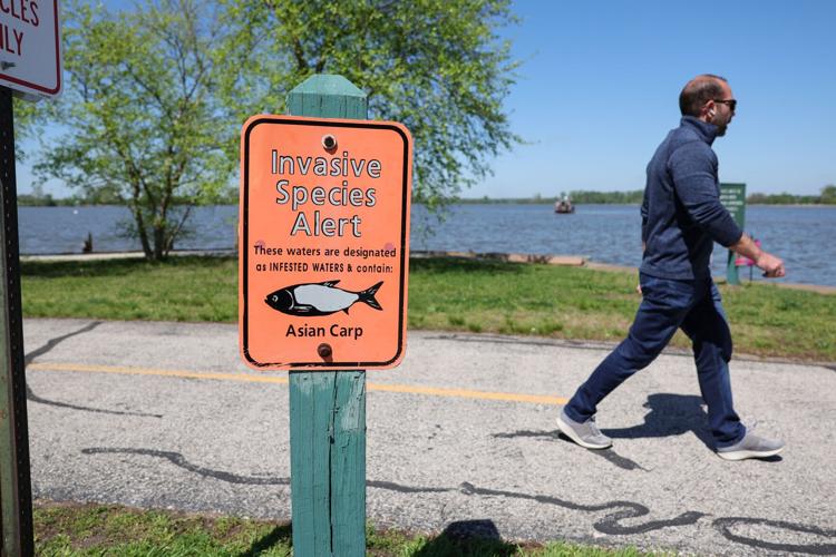 USGS collects nets and conducts research in effort to minimize invasive carp fish at Creve Coeur Lake
