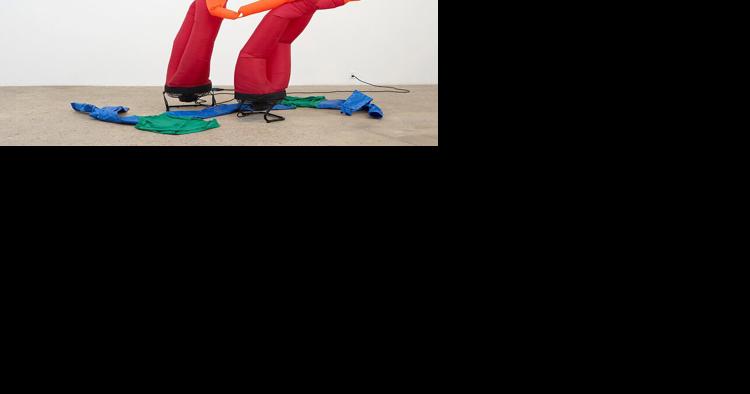 Visual art coming to St. Louis this spring - Vimarsana News
