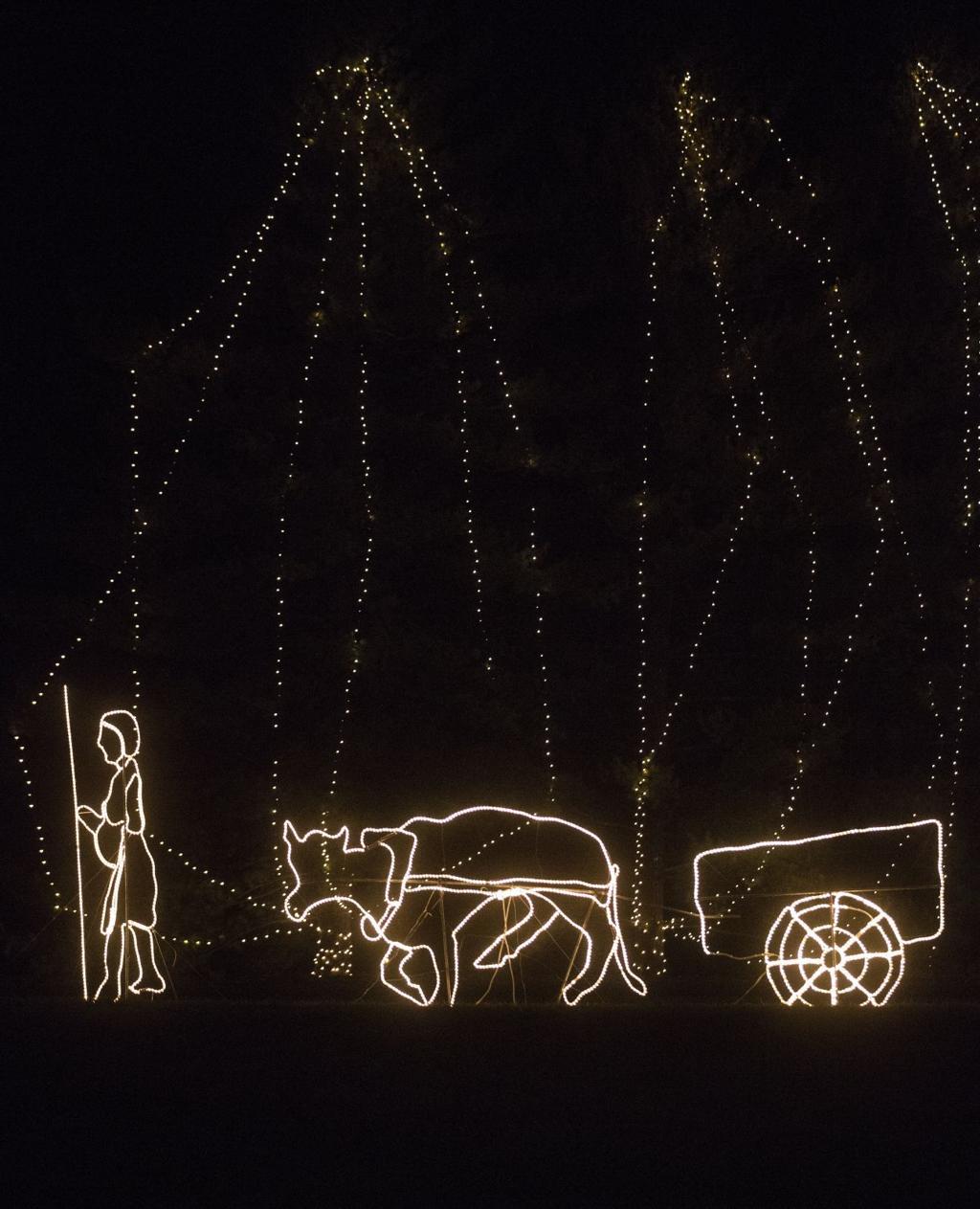 Way Of Lights In Belleville Celebrates 50 Years Of Bringing