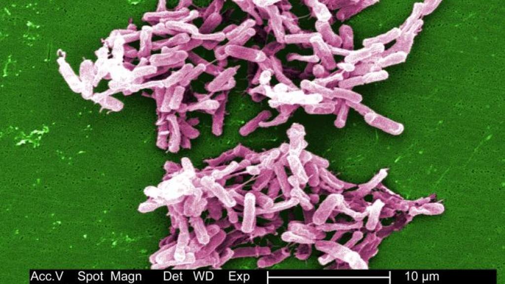 Children’s hospitals are partly to blame as superbugs increasingly attack kids