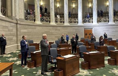 Democracy Oaths and Pledges