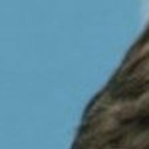 Call Him Ray Top 10 Films Of Ray Liotta Joe S St Louis Stltoday Com