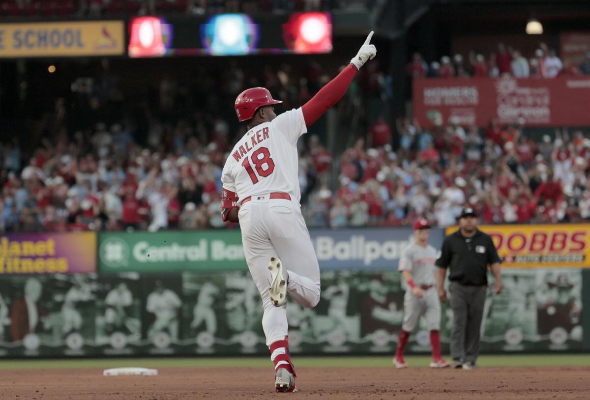 Last Cardinals Homestand Highlights of 2023 Season- Reds come to
