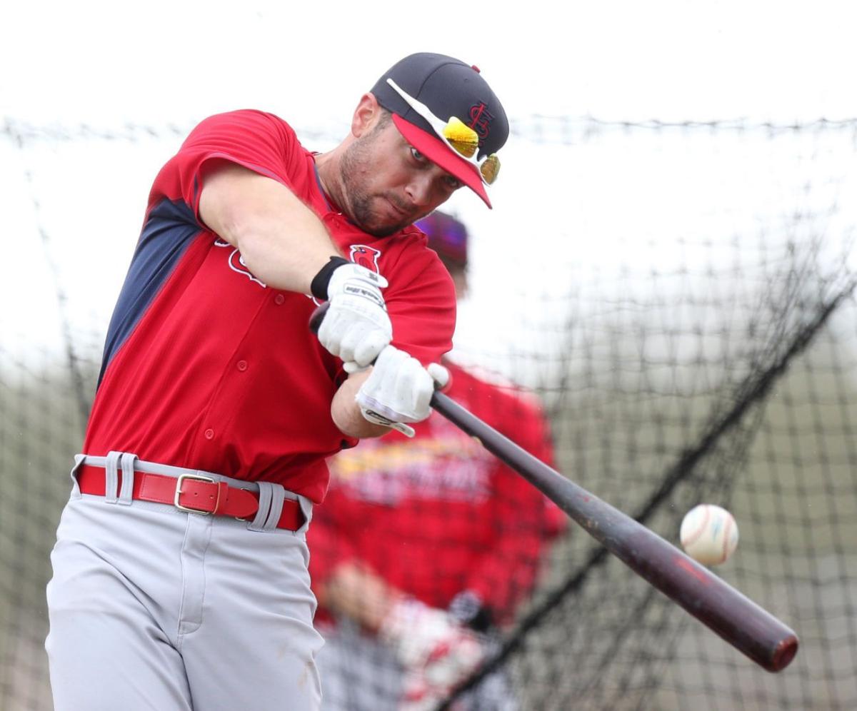 Cardinals spring training