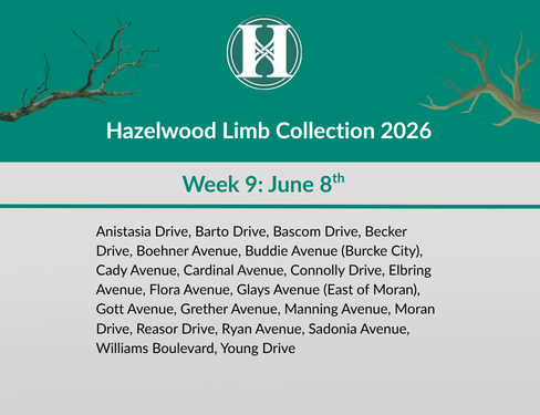 2026 Limb Collection - Week 9