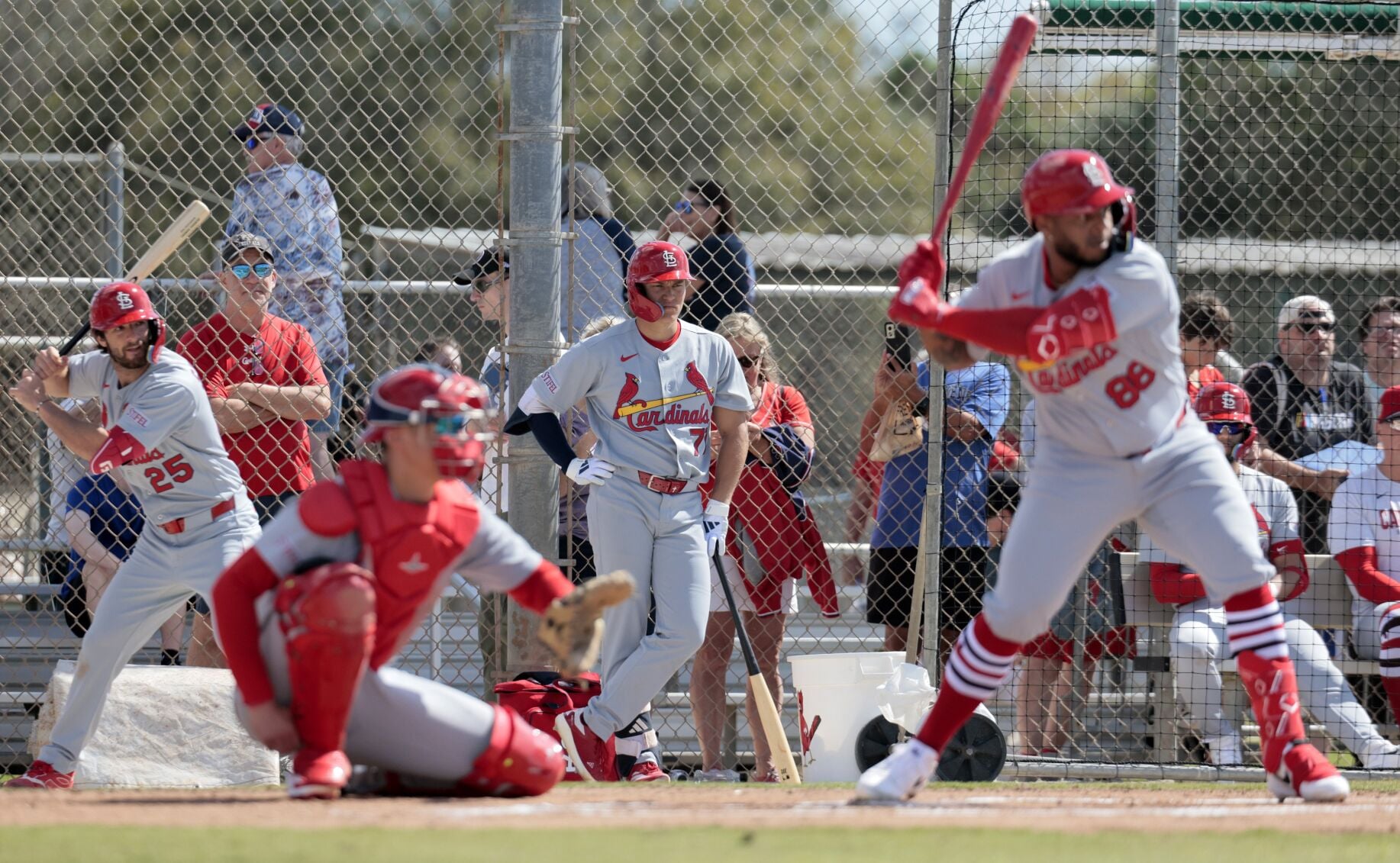 Cardinals first full-squad workout