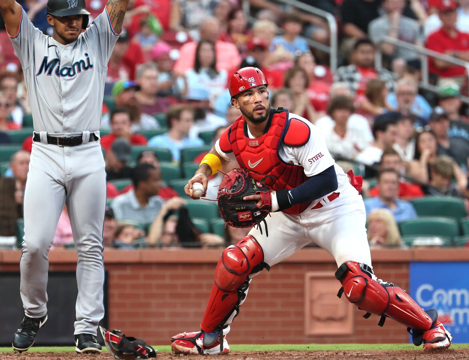 Catcher Ivan Herrera returns to majors for regular season's final