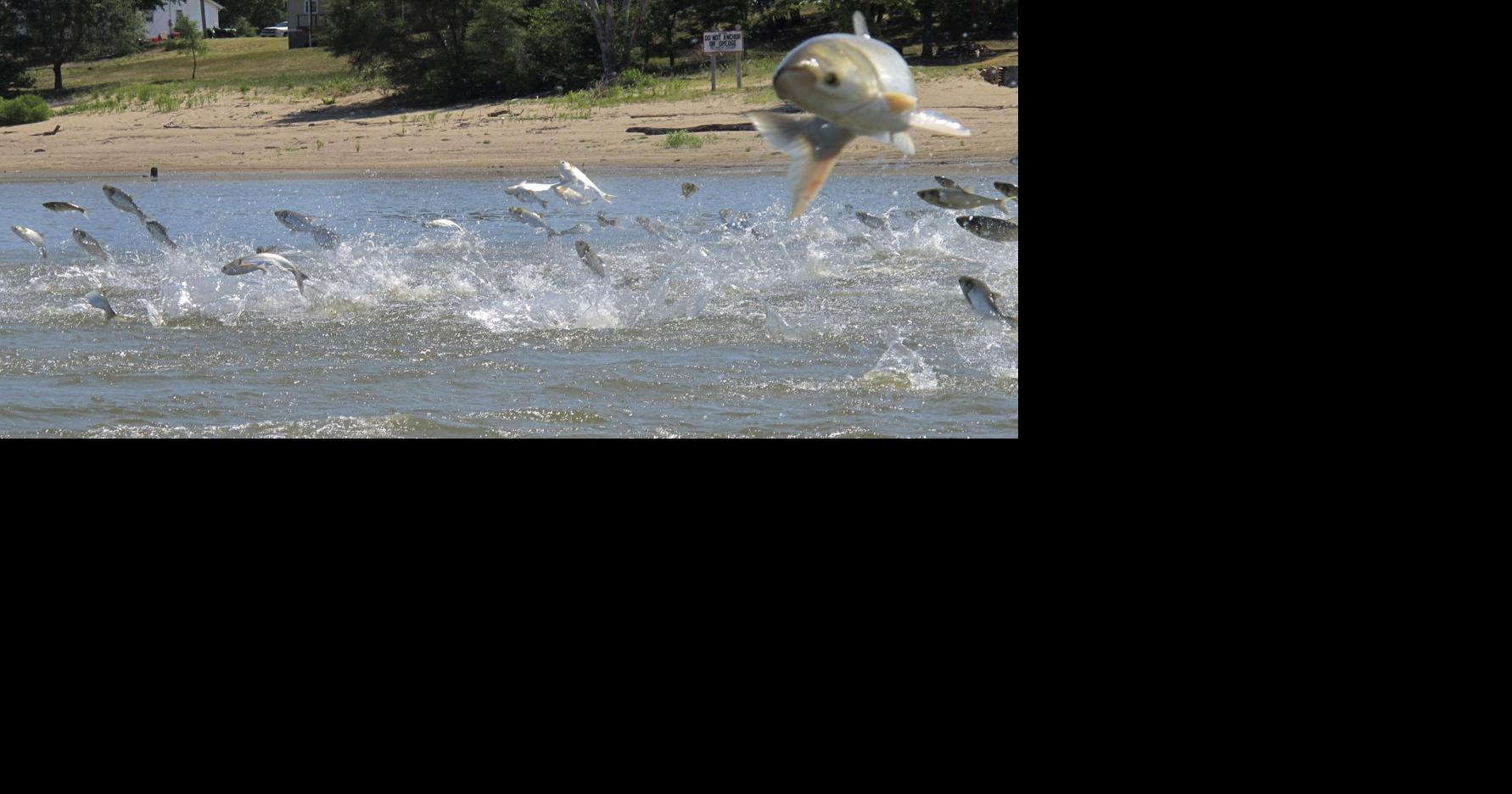Missouri hoping to net results with new invasive carp removal program