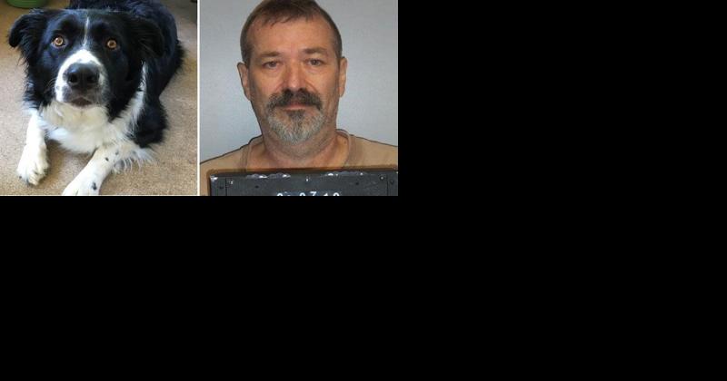 Crestwood man guilty of killing neighbor's border collie with pocket knife - Vimarsana News