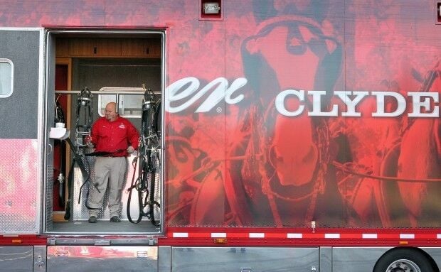 Budweiser, Clydesdales coming back to Super Bowl 56